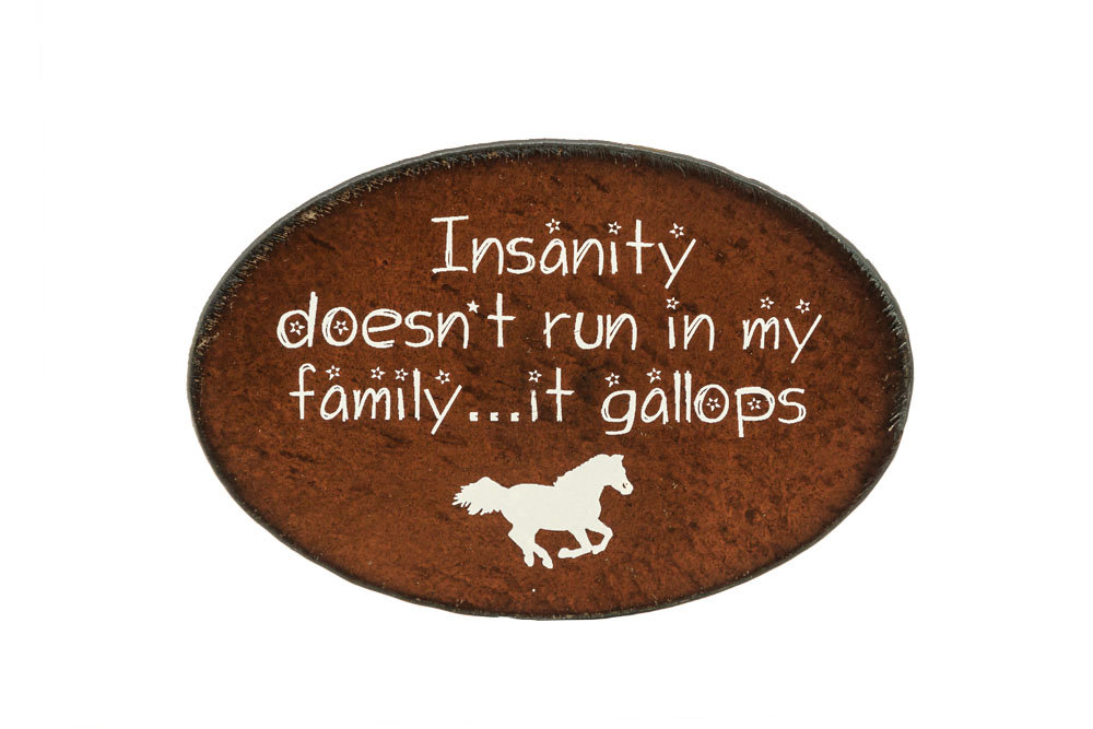 Insanity Print Magnets - Click Image to Close